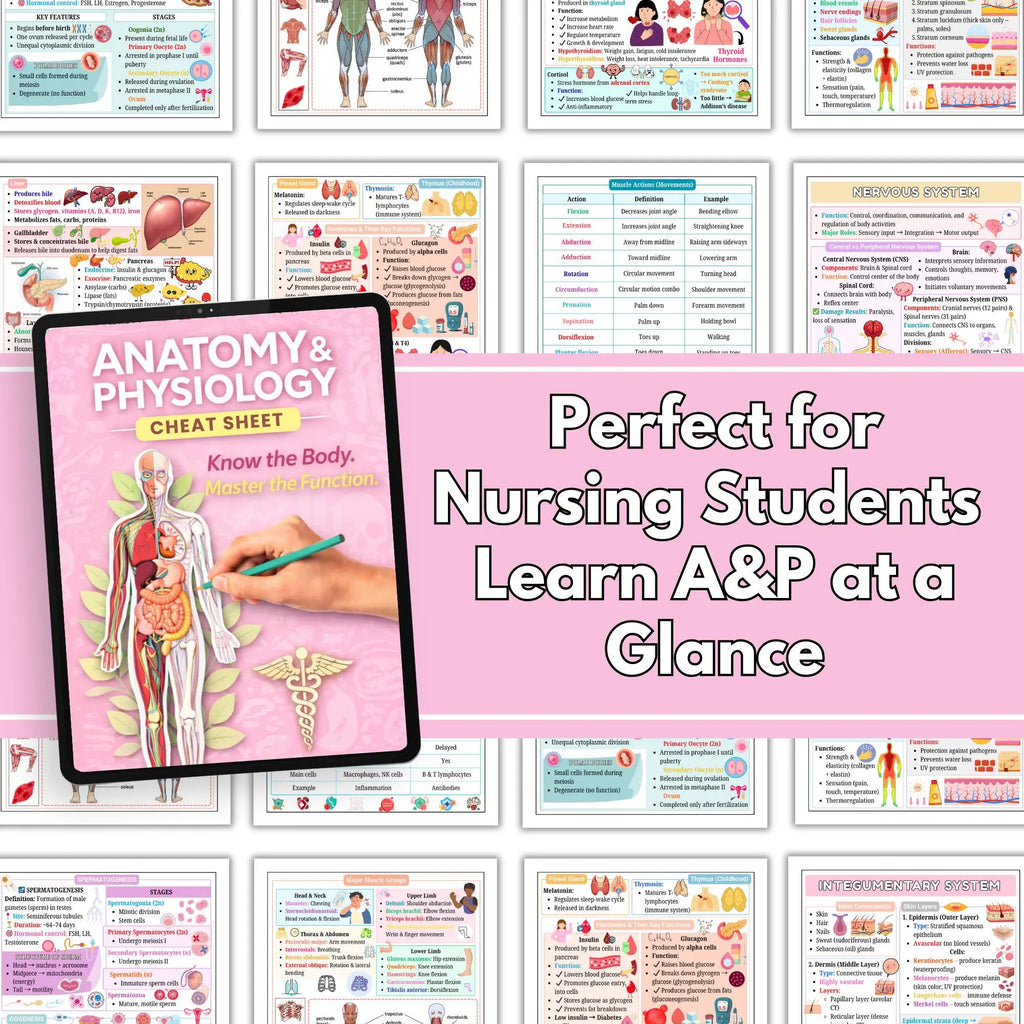 Human Anatomy and Physiology Study Notes, Nursing A&P Reference Book, Educational Resource for Medical Students