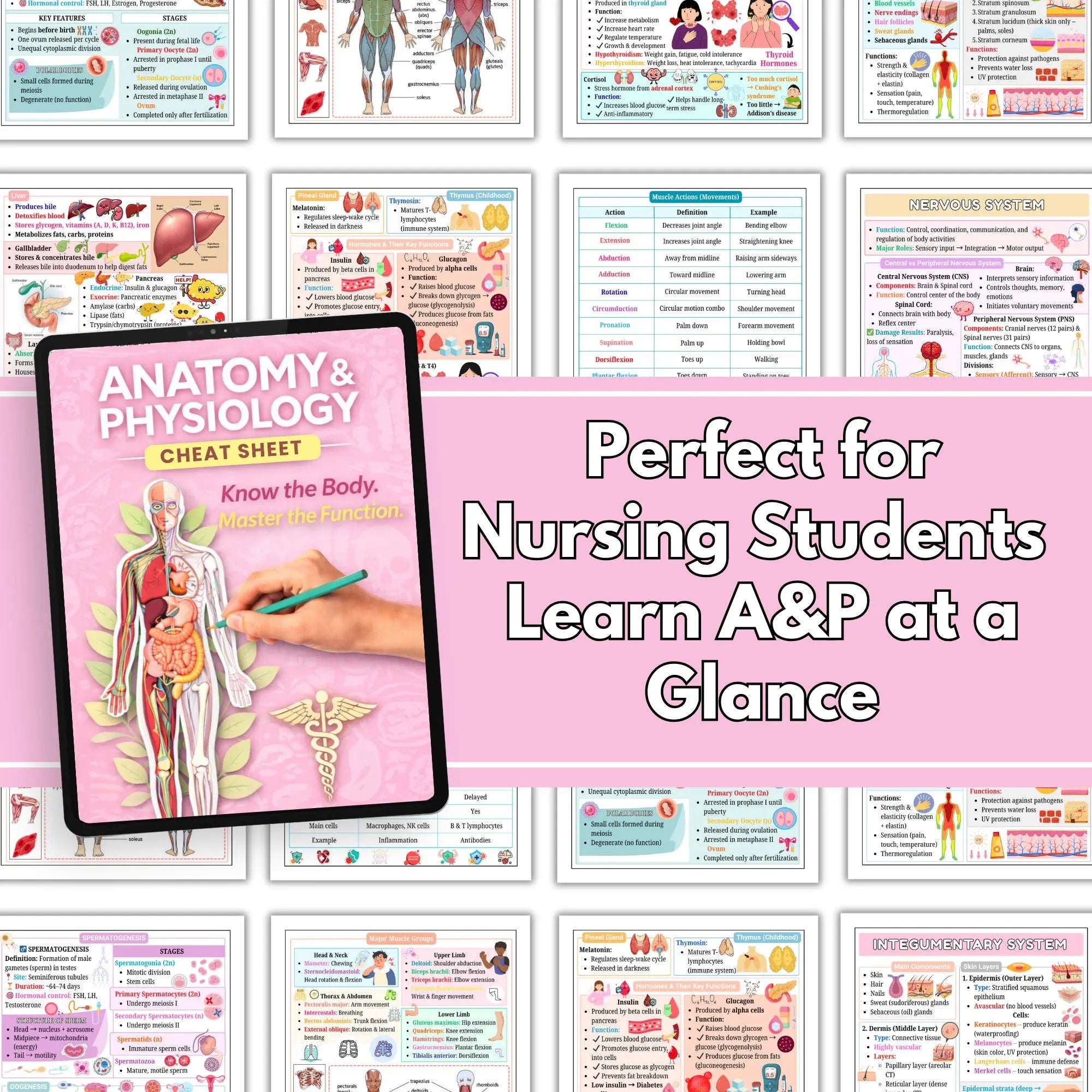Human Anatomy and Physiology Study Notes, Nursing A&P Reference Book, Educational Resource for Medical Students