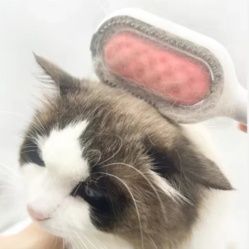 Pet Grooming Comb Cat Brush Long Hair Remover Brush for Dog Cat Silicone Wipe and Water Tank Pet Product Accessories